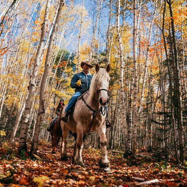La Bleuetière: A charming introduction to horseback riding - Group size of 6: why it feels personal