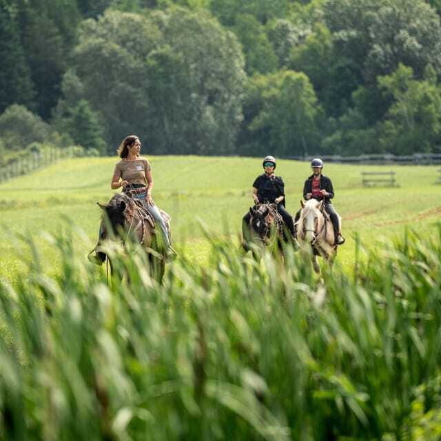 La Bleuetière: A charming introduction to horseback riding - The trail: forest tracks, valleys, and meadow views