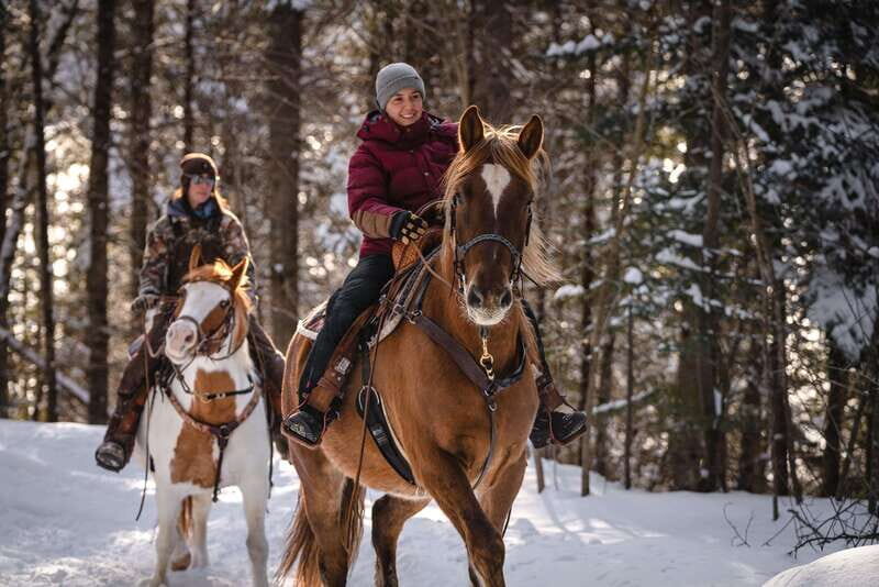 La Bleuetière: A charming introduction to horseback riding - What makes it beginner-friendly (and not stressful)