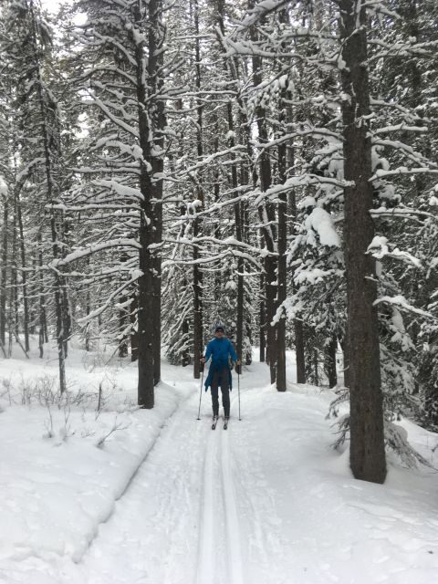 Lake Louise: Cross Country Skiing Lesson with Tour - Safety briefing and orientation: the first 15 minutes are not wasted