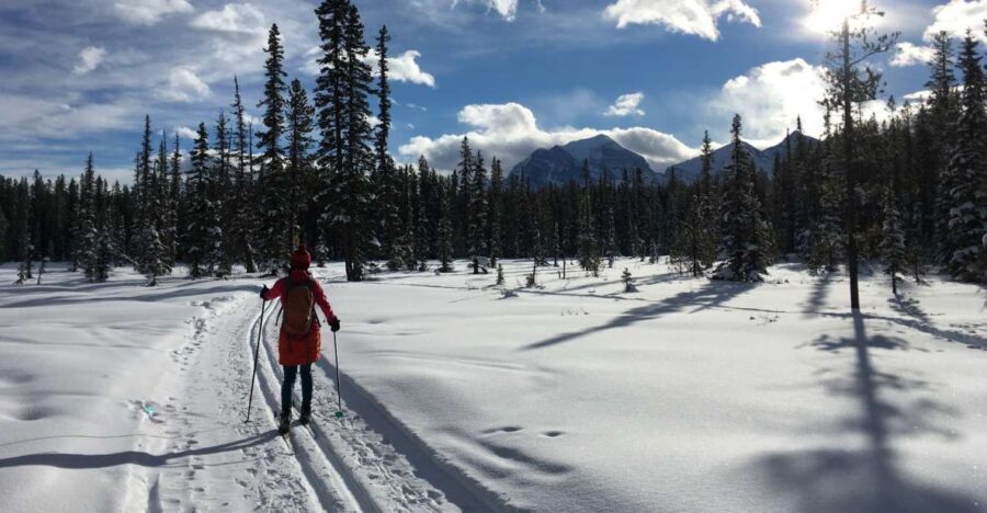 Lake Louise: Cross Country Skiing Lesson with Tour - Two hours of guided skiing around Lake Louise