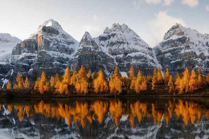 Lake Louise, Emerald Lake and Johnston Canyon Tour - Price and Value: Is $163.97 a Fair Deal?