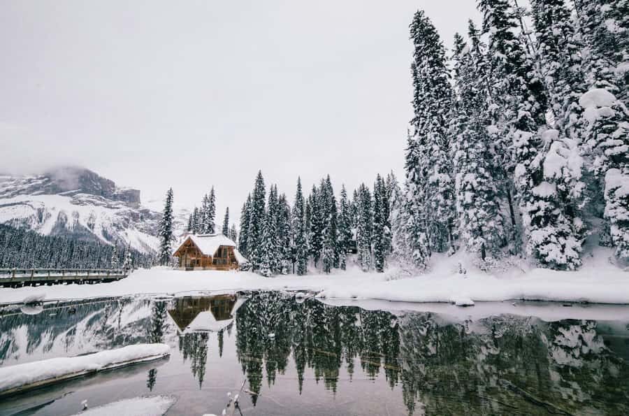 Lake Louise, Moraine, & Emerald: From Calgary/Canmore/Banff - Key Things You’ll Notice on This Tour