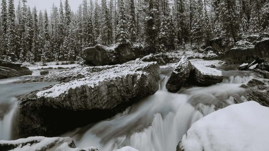 Lake Louise, Moraine, & Emerald: From Calgary/Canmore/Banff - Emerald Lake and Natural Bridge: The Day’s Real Payoff