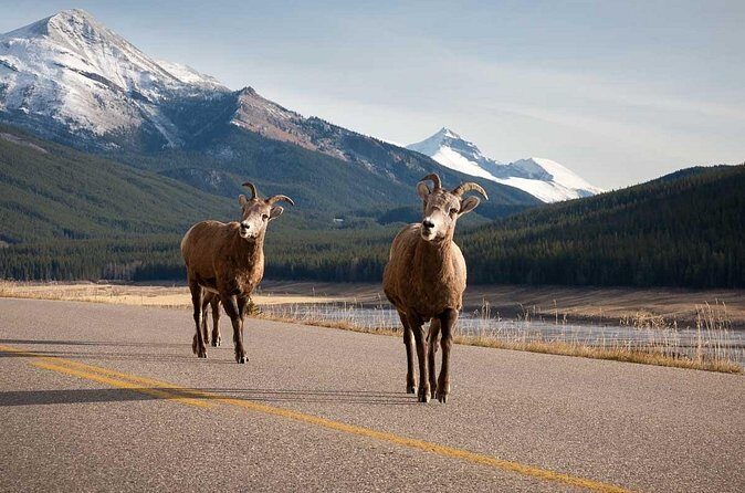 Lake Louise Moraine Lake Icefield Parkway Full Day Private Tour - Moraine Lake: where the famous color comes with a big access fee