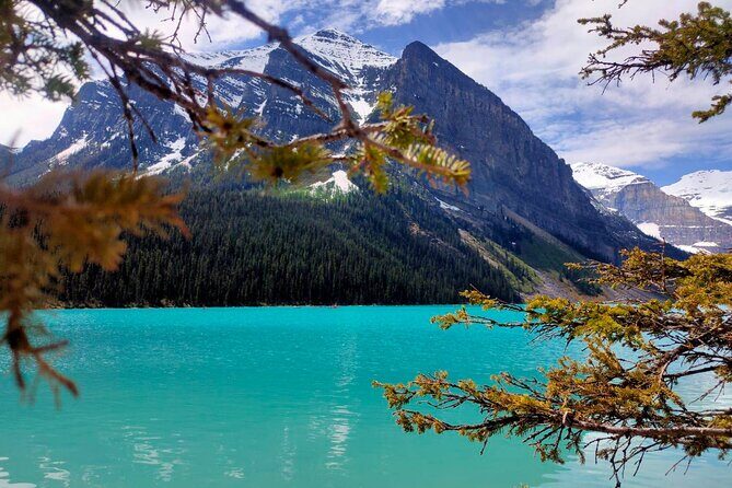 Lake Louise, Moraine Lake, Peyto Lake, Crowfoot, Johnston Canyon - Pickup times and why they can make or break the day