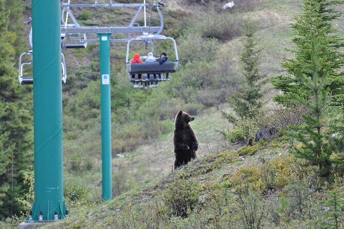 Lake Louise Summer Gondola Experience - Views over Lake Louise and Banff National Park, plus the reality of visibility