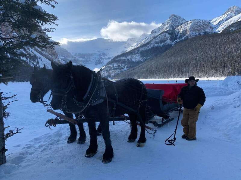 Lake Louise Winterland Tour - Banff to Lake Louise in One Smooth 4-Hour Block