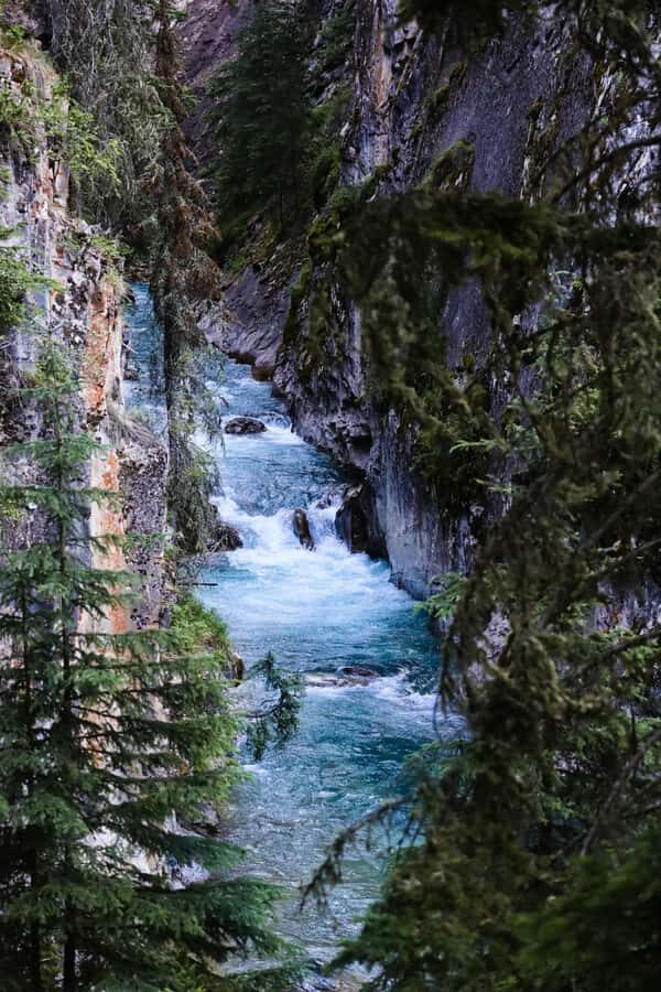 Lake Louise,Moraine,Emerald Lake,Johnston Canyon & BanffTour - Who should book this tour (and who should DIY)