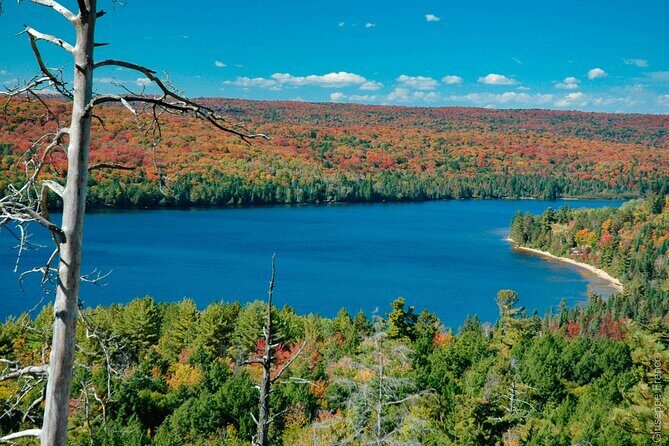 Lake Muskoka and Algonquin Small Group 1-Day Tour From Toronto - Starting in Toronto: what your morning will feel like