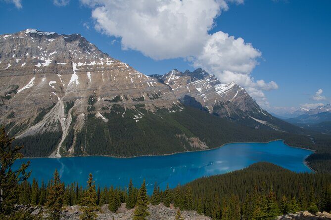 Lake View Tour-Lake Moraine, Louise, Emerald, Peyto, Vermillion - Crowfoot Glacier and Bow Lake on the Icefields Parkway: quick hits with payoff