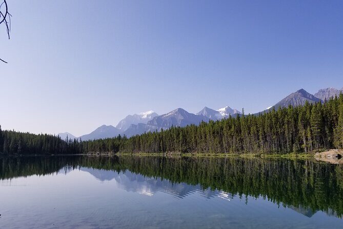 Lake View Tour-Lake Moraine, Louise, Emerald, Peyto, Vermillion - Emerald Lake + Natural Bridge in Yoho: a change of scenery with less crowd pressure