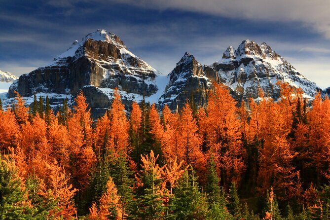 Larch Valley/Moraine Lake Shuttle Transfer from Banff and Canmore - Quick hits: what makes this Moraine Lake shuttle work
