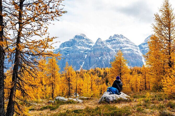 Larch Valley/Moraine Lake Shuttle Transfer from Banff and Canmore - Entering the Rockies Without the Driving Stress