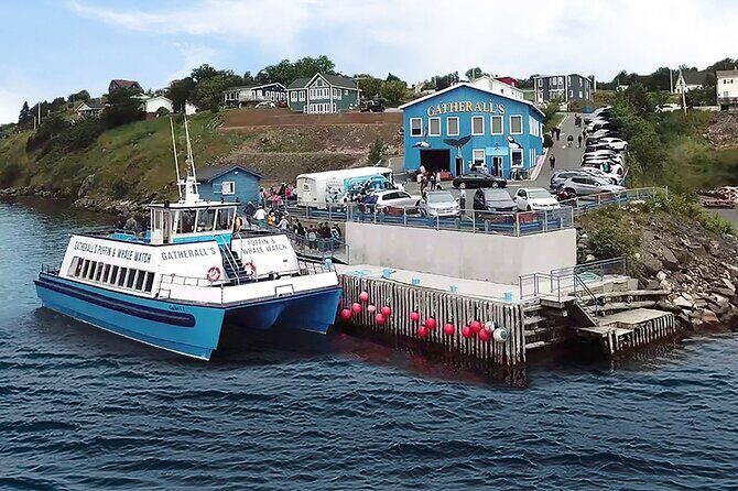 Late Season Puffin & Scenic Coastal Cruise - The narration and local music: why it makes the cruise more than wildlife spotting
