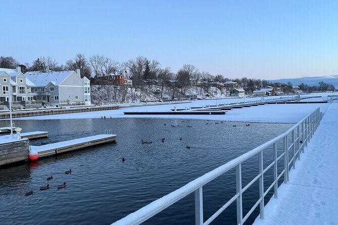 Layers of Natural History: Picton Nature Self-Guided Audio Tour - Delhi Park to Glenwood Cemetery: from garbage dump to thriving wetland, then a garden-like finish