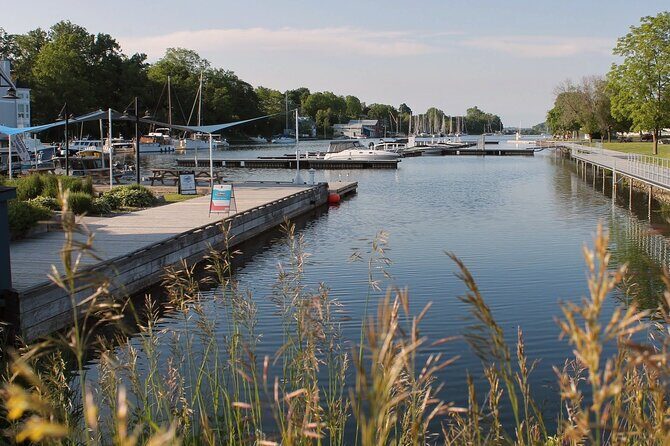 Layers of Natural History: Picton Nature Self-Guided Audio Tour - Logistics that actually matter on this kind of walk