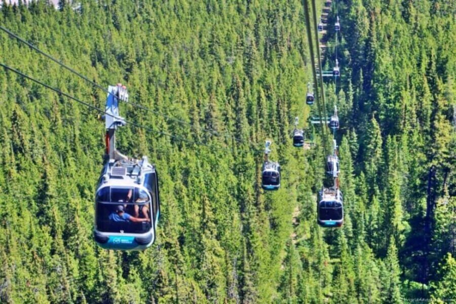 Louise Louise, Banff Gondola, Minnewanka & Emerald Lakes - Banff Gondola on Sulphur Mountain: The View That Sets the Tone