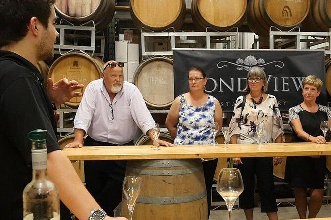 Lunch in the Vineyard: A Scenic Niagara Wine Tour Experience - The guide and group size: how you stay comfortable