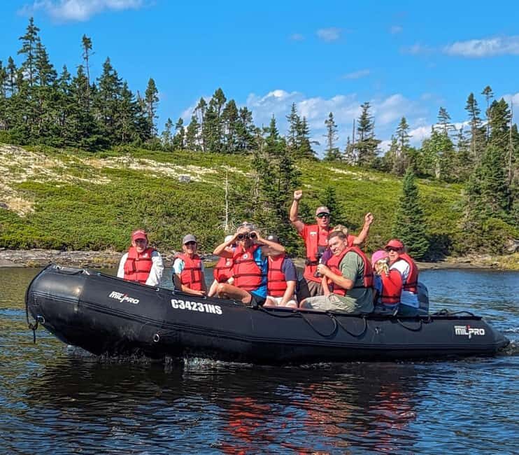 Lunenburg: Zodiac Wildlife Tour with Naturalist Guide - Key highlights you’ll actually feel on this Zodiac ride