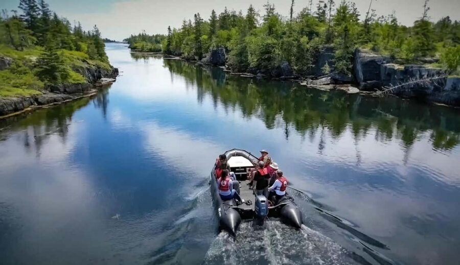 Lunenburg: Zodiac Wildlife Tour with Naturalist Guide - Zodiac speed that still feels like wildlife watching