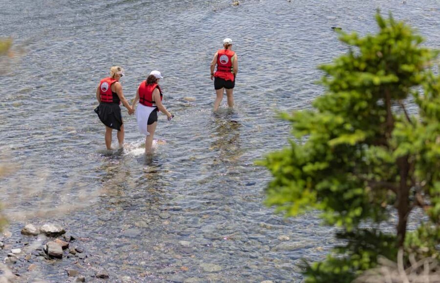 Lunenburg: Zodiac Wildlife Tour with Naturalist Guide - The 2-hour wildlife route: what you’ll watch for along the Atlantic coast
