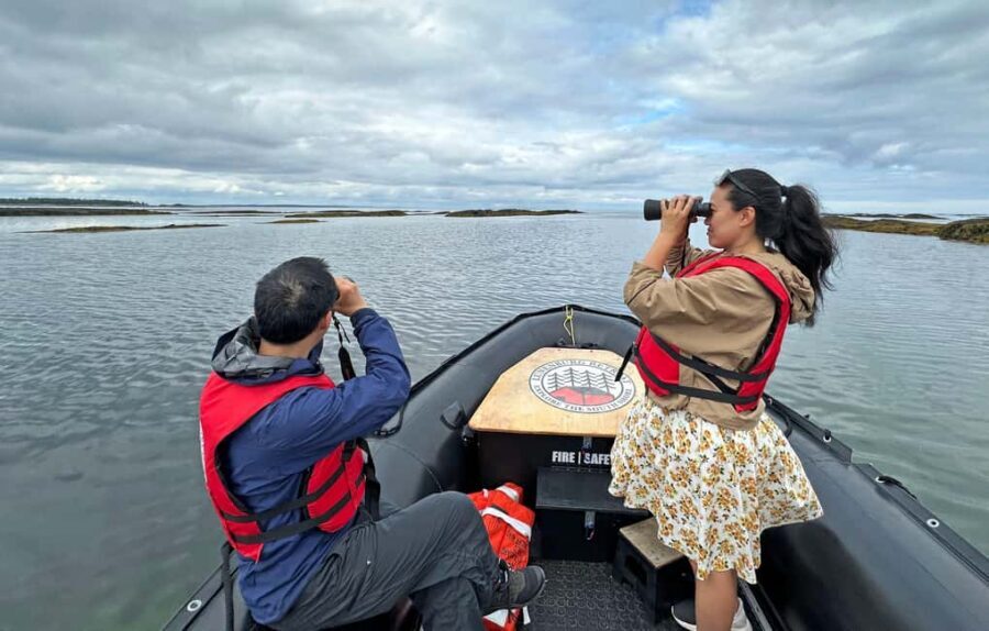 Lunenburg: Zodiac Wildlife Tour with Naturalist Guide - Photo tips for a fast-moving coastline