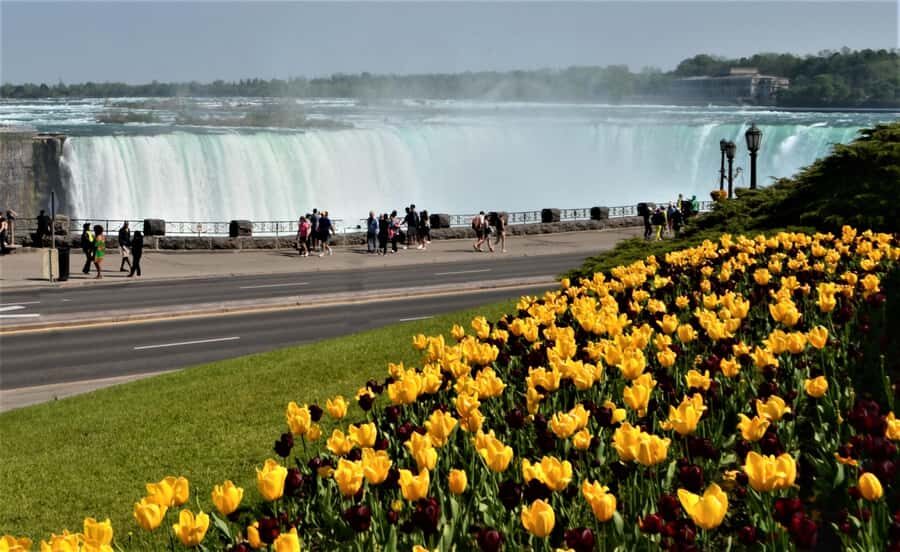 Luxury Day Trip: Niagara on the Lake, Wine & Falls - The winery tasting: short, guided, and built into the day