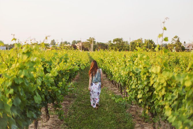 Luxury Niagara Falls Day Trip from Toronto with Cruise and Lunch - Niagara Parks quick stops: Floral Clock, Beck Station, gardens, and a tiny chapel