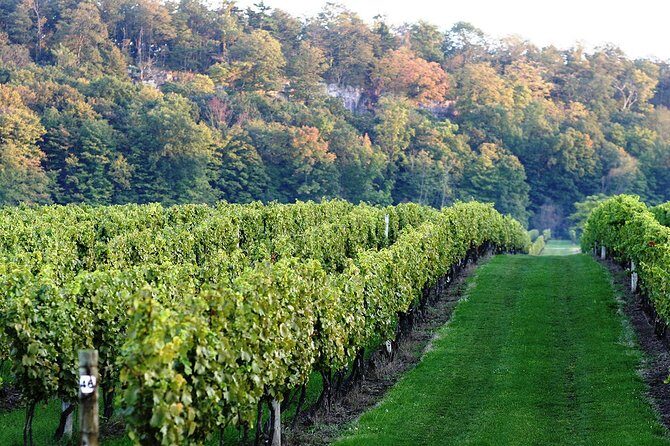 Luxury Private Tour of Niagara Falls from Toronto - Price and Value: Is $746.84 For Two Actually Smart?