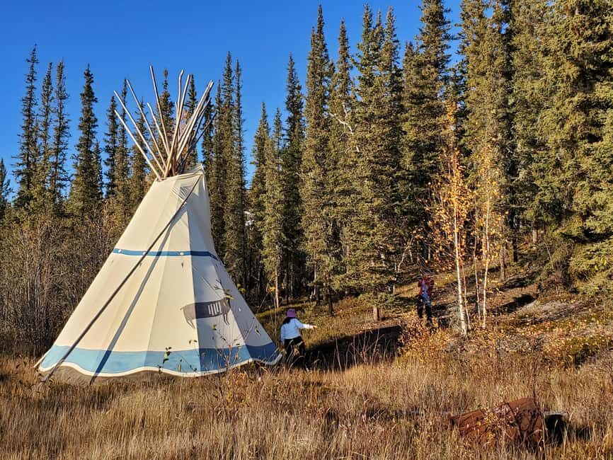 Madeline Lake: Aurora Lodge and Aurora Chasing Tour - Madeline Lake Nights: Why This Setup Works