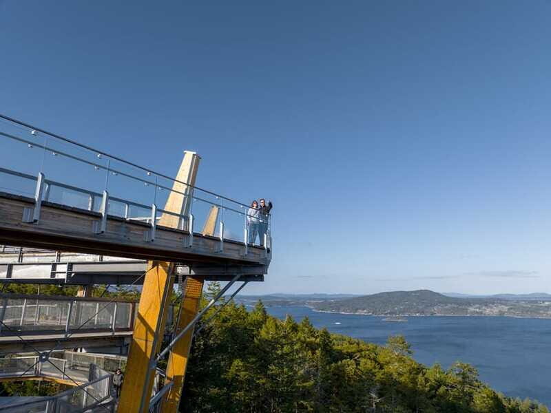 Malahat SkyWalk Ticket - The Spiral Slide: Conditions and the Best Way to Time It