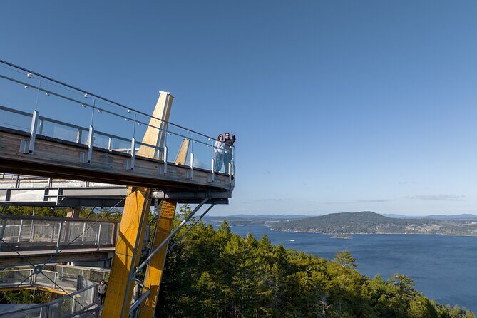 Malahat SkyWalk Tickets - The Spiral Climb to the Top: Views at 250 m Above Sea Level