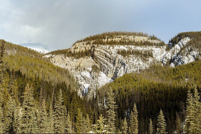 Maligne Valley and Pleckaitis Icewalk - What’s included: the winter kit that makes the walk easier