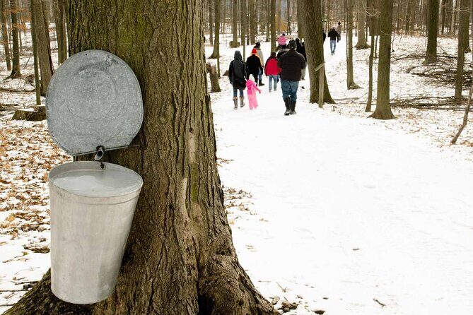 Maple Syrup Tour on the Sugar Bush Trek - Key highlights you’ll remember