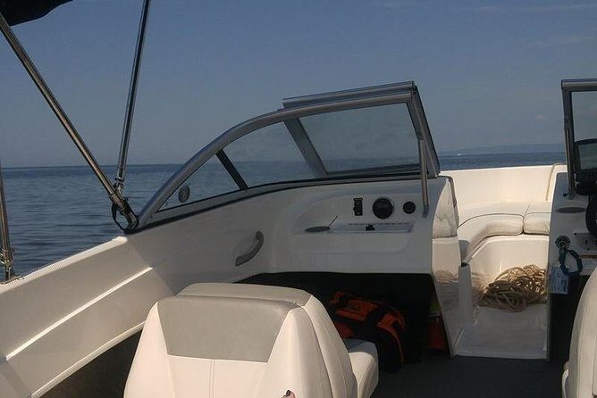 Meet The Seals Boat Tour - Travel by boat to a Secret Seal Cove - A Small-Group Boat to a Secret Seal Cove From Pictou