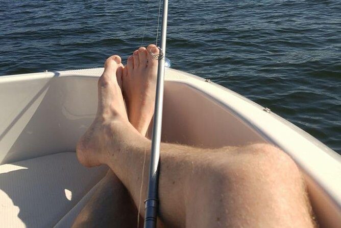 Meet The Seals Boat Tour - Travel by boat to a Secret Seal Cove - Pictou Seaside Marketplace: Scenic Return With a Bit of Extra Time