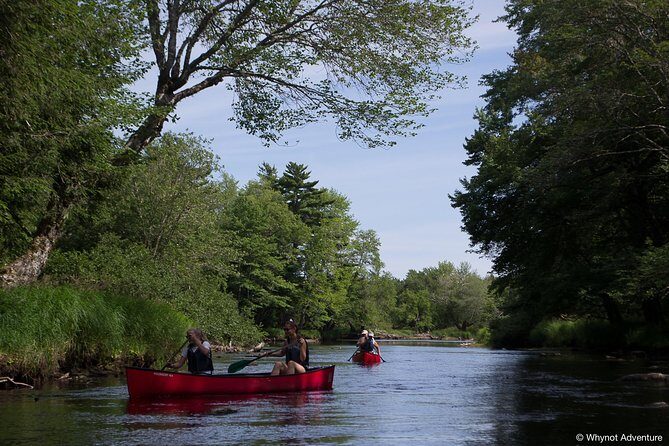 Mersey River Quickie Adventure - 2 Hours - Wildlife spotting and photo pauses you’ll appreciate