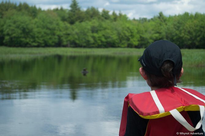 Mersey River Quickie Adventure - 2 Hours - What’s included: craft, safety gear, and why it’s good value