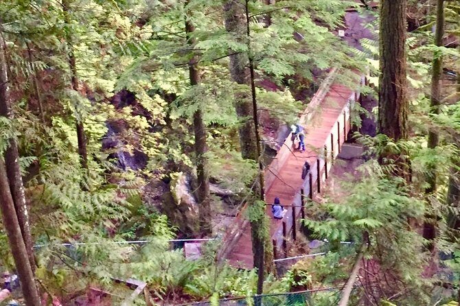 Mesmerizing Nature Walk in Lynn Canyon Park - Lynn Canyon Suspension Bridge: the 50-meter canyon moment
