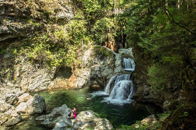 Mesmerizing Nature Walk in Lynn Canyon Park - Should you book this Lynn Canyon Park nature walk?