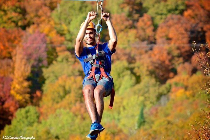 Mont-Catherine Ziplines - Key Things to Know Before You Go