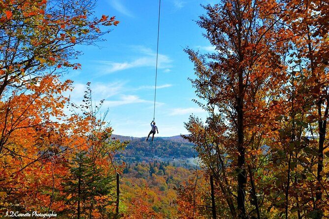 Mont-Catherine Ziplines - Mont-Catherine Ziplines at a Glance: Duration, Group Size, and What You Fly Over