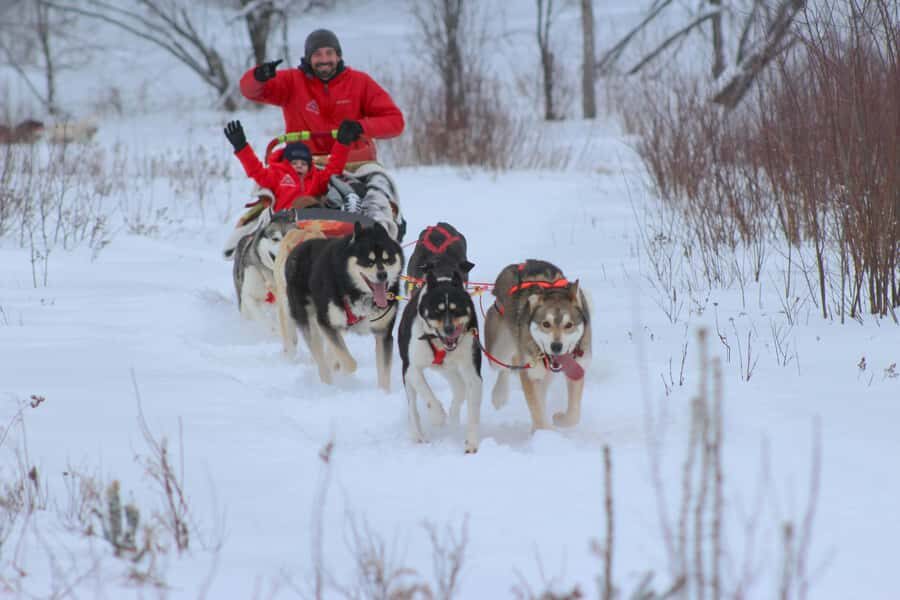 Mont-Tremblant: Dogsledding Valley Adventure - First stop: the kennel with 60 Siberian huskies