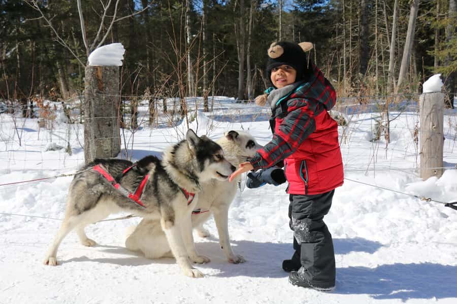 Mont-Tremblant: Dogsledding Valley Adventure - The end at the kennel: cookies, puppies, and soup by the fireplace