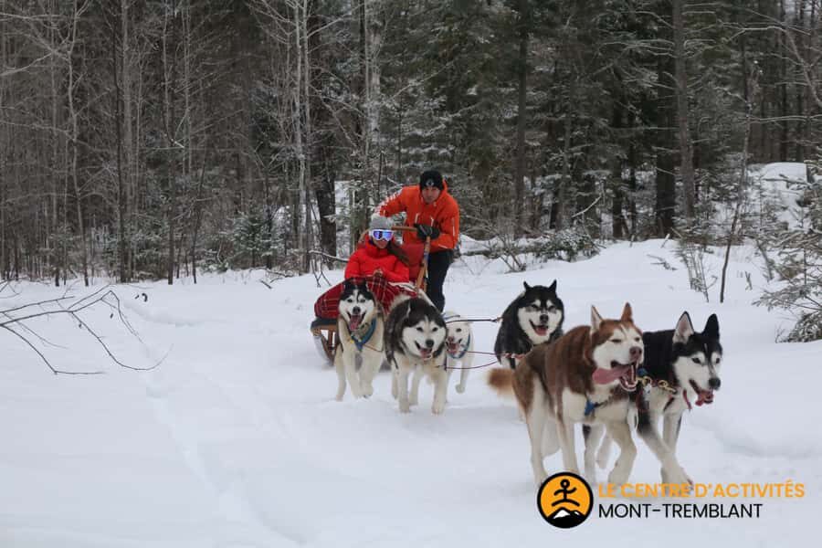 Mont-Tremblant: Dogsledding Valley Adventure - What to bring, and how to stay comfortable in winter