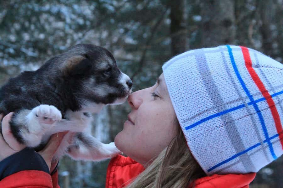 Mont-Tremblant: Dogsledding Valley Adventure - Language and group size: easy for families, good for first-timers