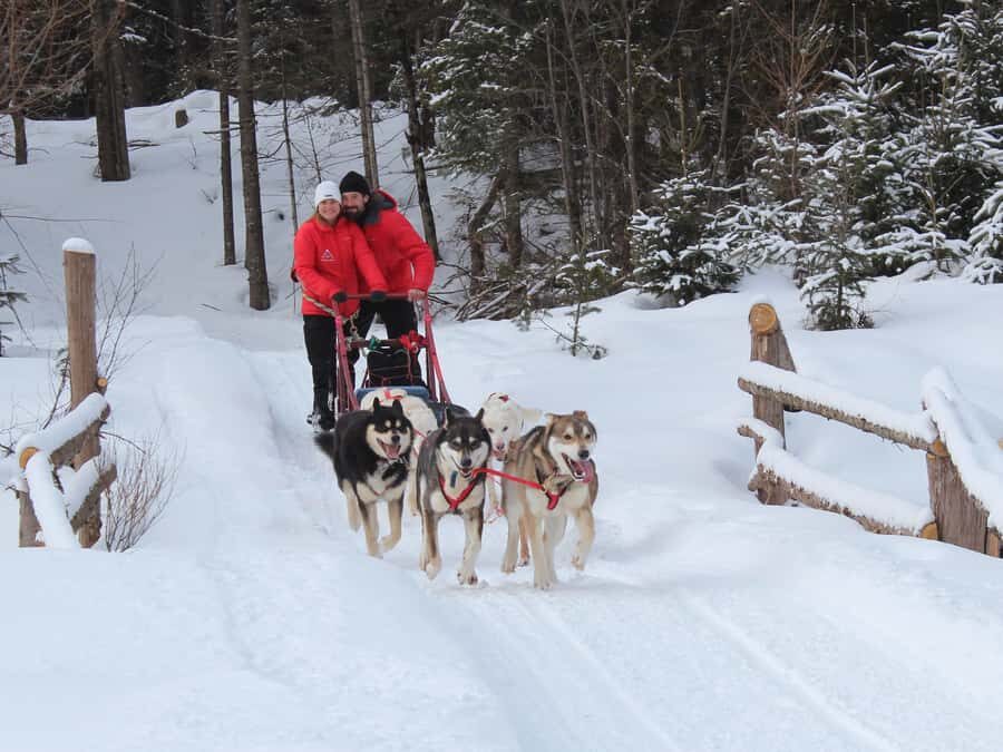 Mont-Tremblant: Dogsledding Valley Adventure - Harnessing up and getting your instructions right