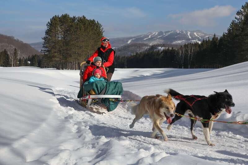 Mont-Tremblant: Guided Dogsledding Tour with Hot Chocolate - Before the Sled: Harnessing, Safety Briefing, and Your Role on the Team
