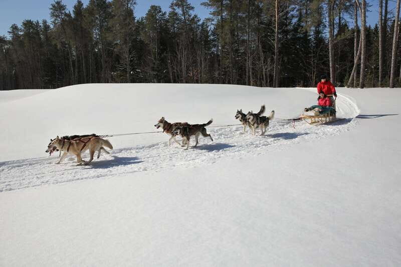 Mont-Tremblant: Guided Dogsledding Tour with Hot Chocolate - Back at the Kennel: Treats, Brushing, and Puppy Time When It’s the Right Season
